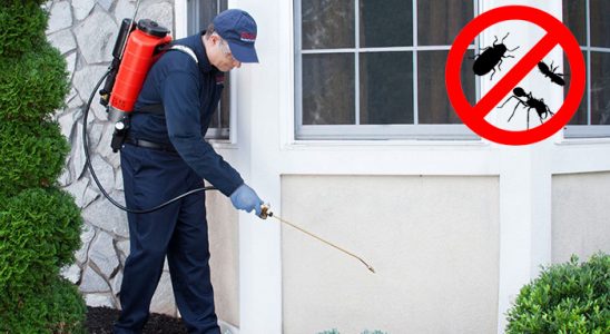 Yığılca Tahtakurusu İlaçlama böcek ilaçlama ve haşere kontrolü — ilaclama-tr.com
